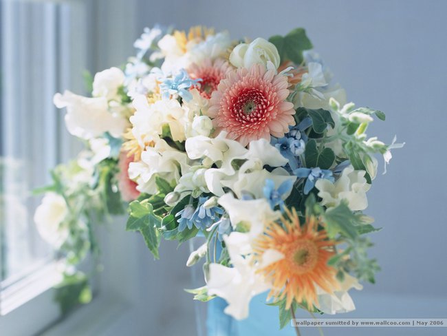 ??????????????????????????????????????????