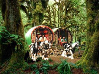 Jadą wozy kolorowe.