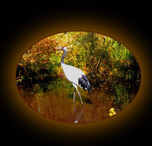 ***NA STOKACH MANDŻURII **