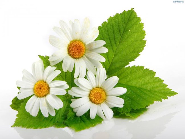 Cudowny dzień w Sandomierzu i nie tylko ..