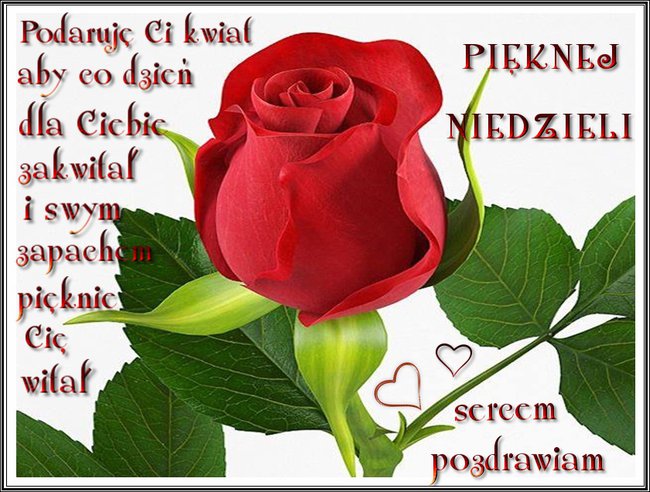 PRZYJAŻ JEST PIĘKNA