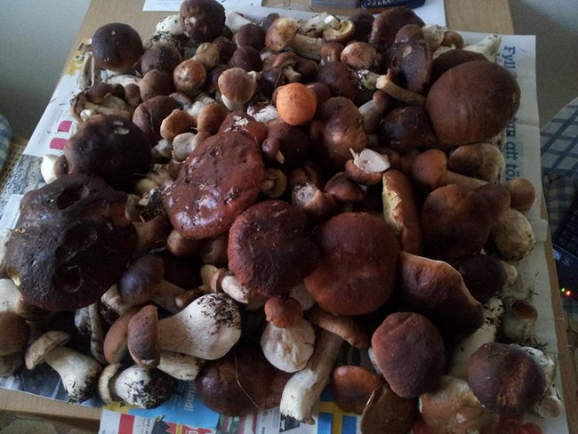 dla ciebię odemnię