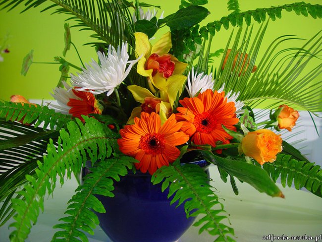 DZIĘKUJĘ ZA PRZYJAŹŃ