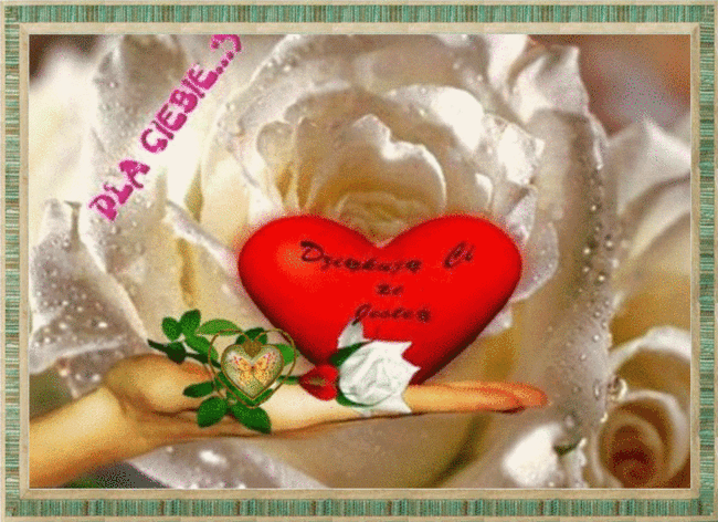 Za Wszystkie Piekne Chwile