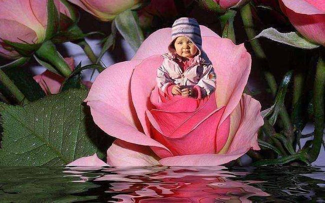 moje    kochane    dzieci   i   mamusia