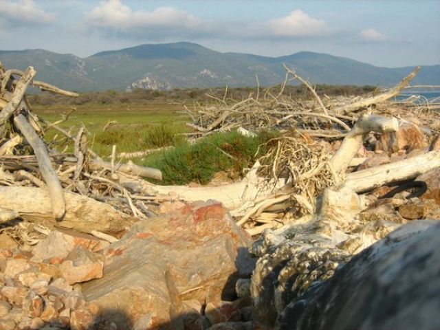 Już nie ma dzikich plaż....