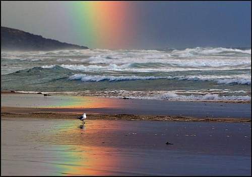 Zostań Przy Mnie...Na Zawsze...