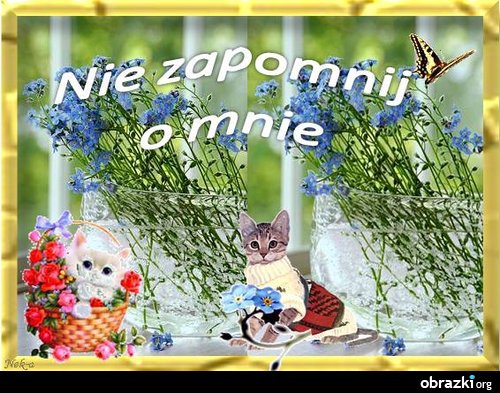 WSPANIAŁYM PRZYJACIOŁOM Z NK