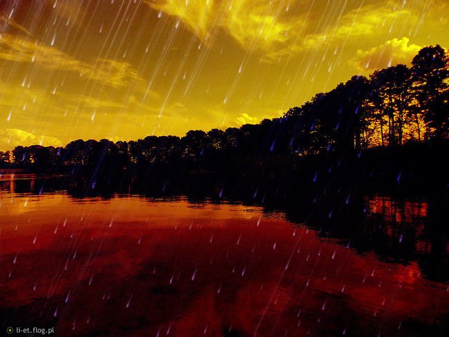 Kiedy pada deszcz...