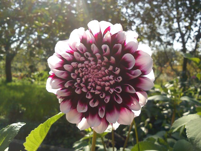 Uroki kończącego się lata.