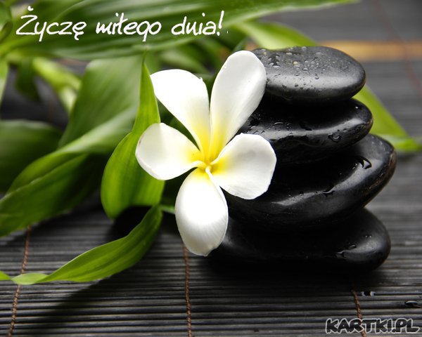 Zawrócić Chcę ...Zawrócić Czas...