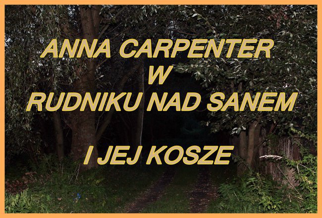 ANNA CARPENTER I JEJ KOSZE