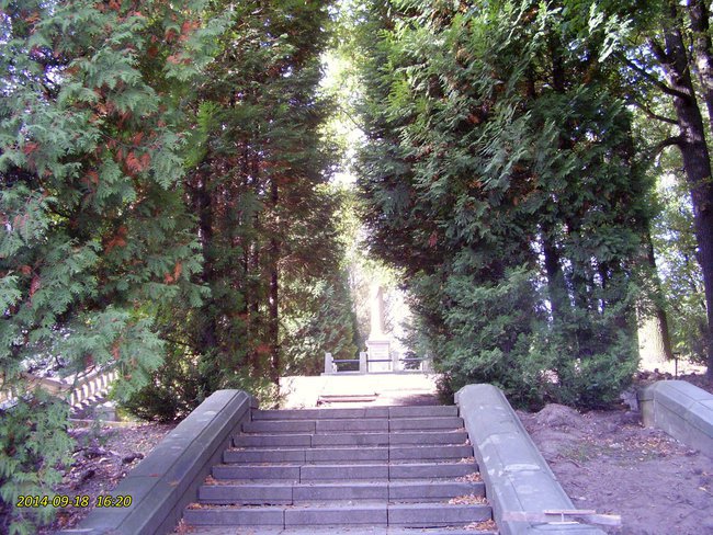 Gdzie mnie poniosło