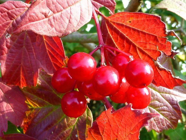 J E S I E Ń  2 0 1 4 r