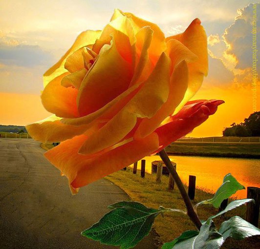 DLA MOJEGO SŁONECZKA;)