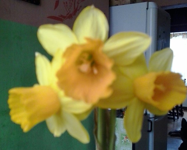 niezapomniana..................