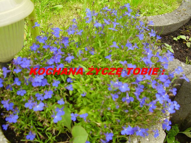 WSZYSTKIEGO NAJLEPSZEGO!