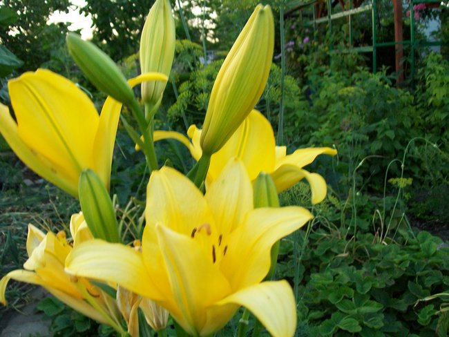 A MNIE JEST SZKODA LATA