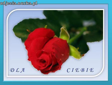 Uśmiech Na Każdy Dzień...