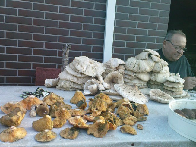 Piotr na grzybach 2014