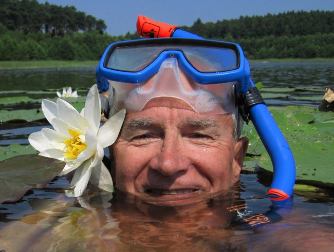 Nenufary(grzybienie białe). Moje slajdy.