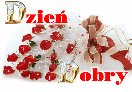 HELLO.  KOTY  RZĄDZĄ.