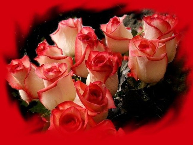 KOCHAJ MNIE JAK NIKT