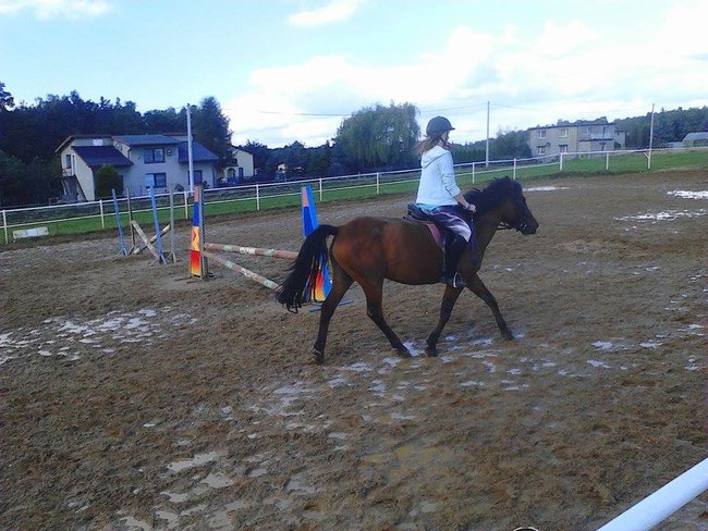 Weź się ogarnij i chodź jeździć na koniu < 33