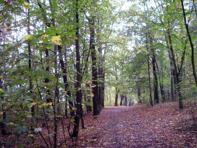 Jenny, czyli odświezanie wspomnień