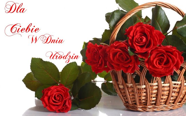 W DNIU URODZIN