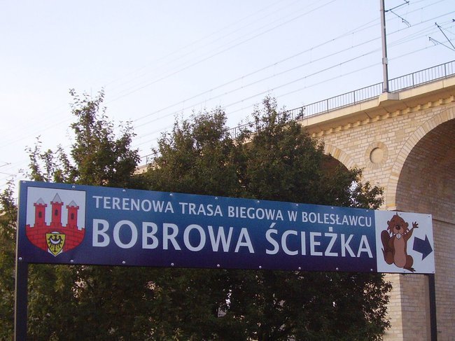 Bobrowa ścieżka