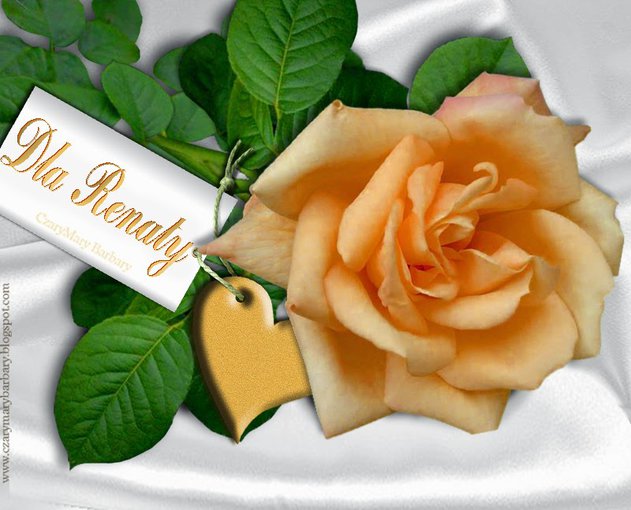 wszystkiego najlepszego  Perełko