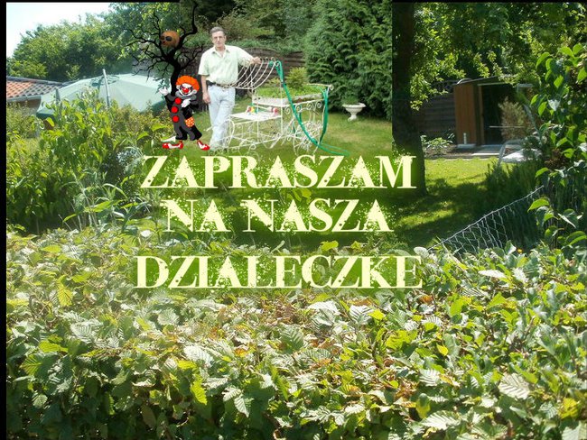 Urodziny na dzialce