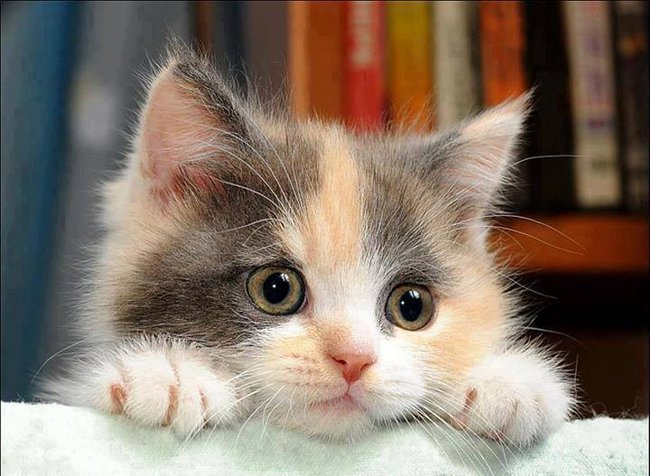 Dla Ciebie Jureczku .......:)