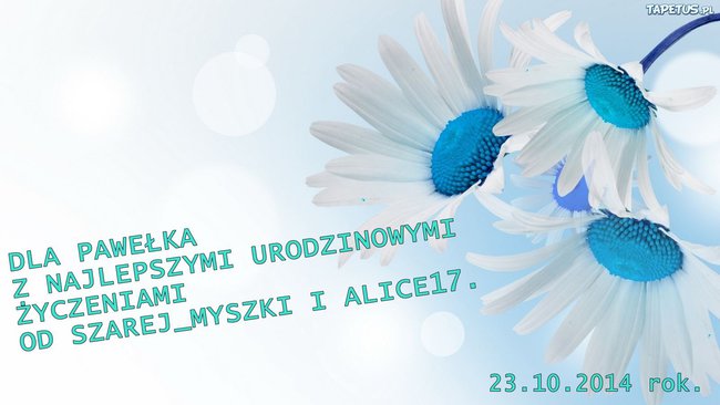 Dla Pawełka z okazji Urodzin!:-)