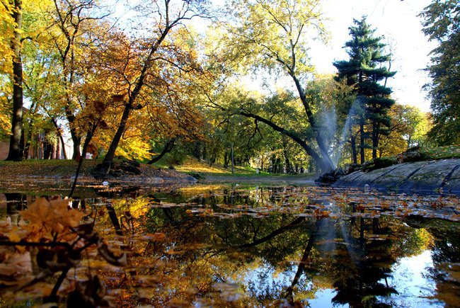 ..jesień  idzie ku mnie..