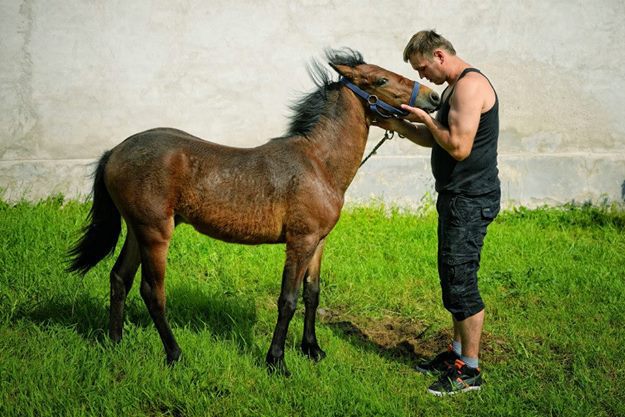 Dla Żony! Od Kochającego Męża!