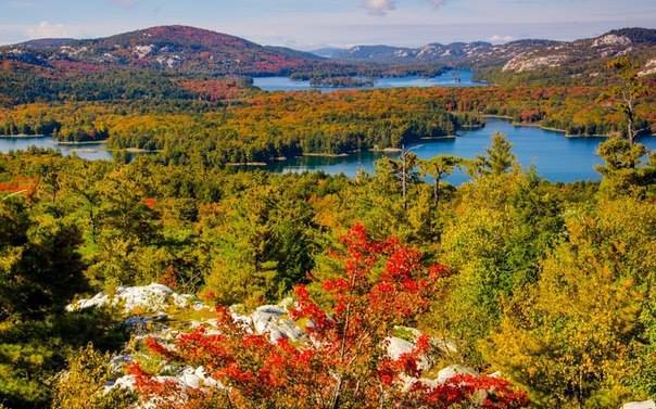 Piękna złota jesień.