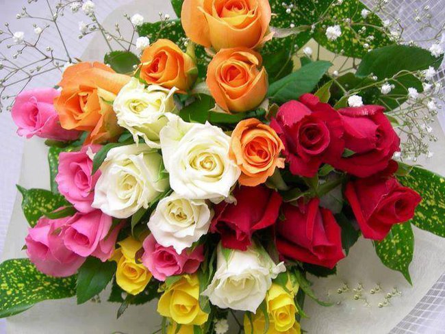 URODZINY TERESKI KIARY Z BYDGOSZCZY