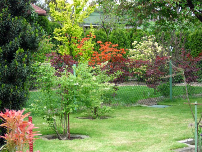 Działka w okresie wiosenno-letnim