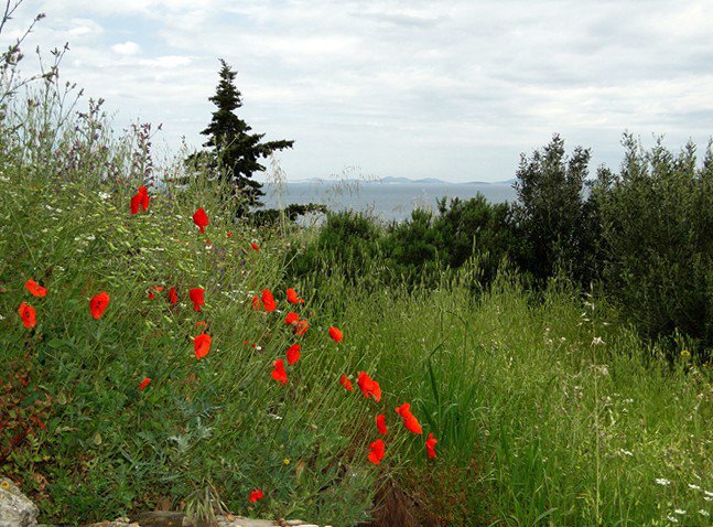 nie chcę więcej nic