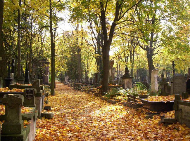 Spieszmy się kochać ludzi....