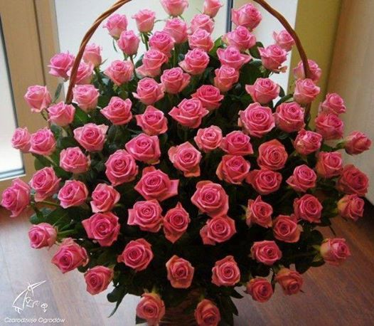 URODZINY KROPELKI ŁZY