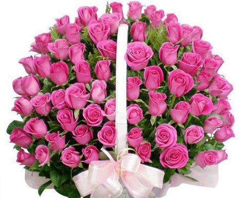 Z OKAZJI URODZIN BIANECZKI