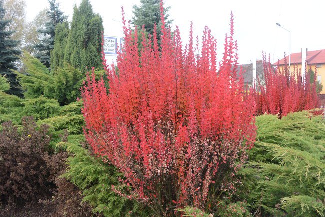 moje podróże, małe i duże