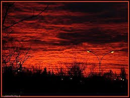 Z POTRZEBY LUDZKICH SERC