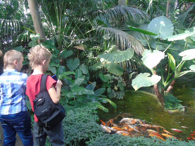 Wycieczka do Palmiarni