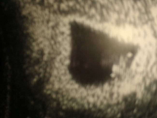 filmik z okazji drogich urodzin Szyncia