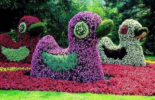 PIĘKNE DZIEŁA OGRODNIKÓW