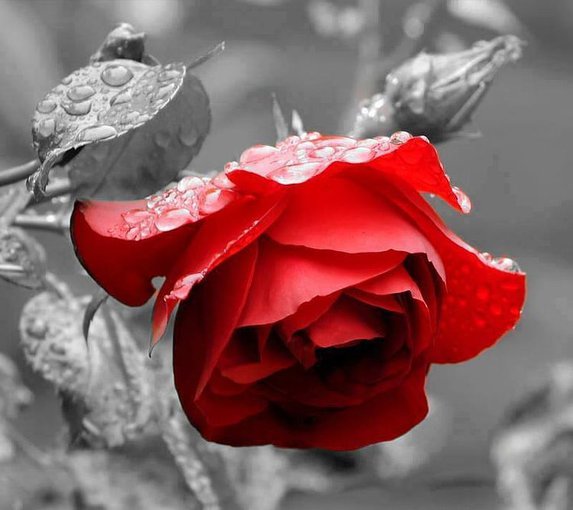 Chcę Ci podziękować za wielkie serce EDYTKO